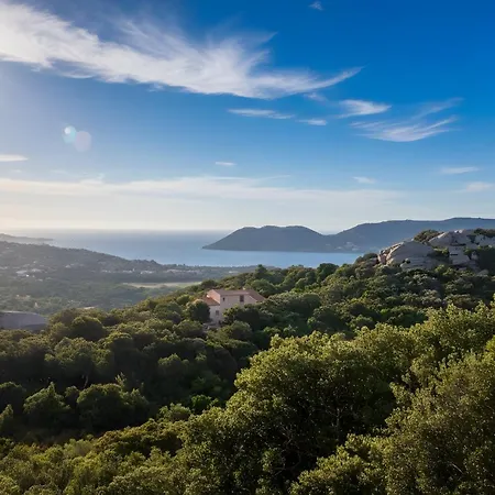 Mini 1 Piece 21 M2 Pour 2 Personnes Piscine Partagee Climatisation * Porto-Vecchio (Corsica)