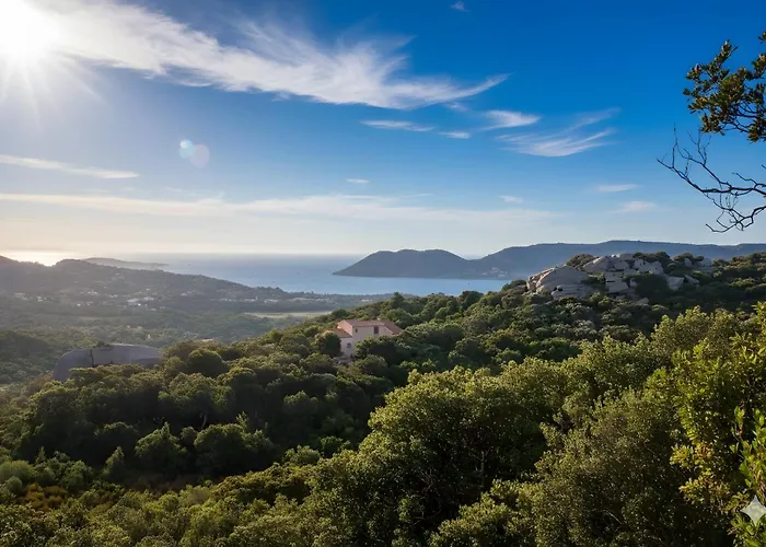 Mini 1 Piece 21 M2 Pour 2 Personnes Piscine Partagee Climatisation * Porto-Vecchio (Corsica)